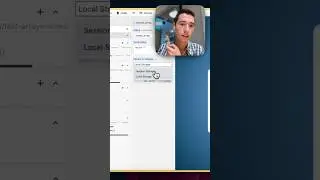 Session Storage vs Local Storage in Wized (Persist in Storage) 