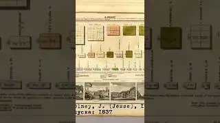 Китайская Тартария и Независимая на графике 1837 года