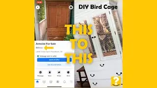 DIY Bird Cage