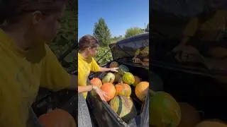 Регина кабак на связи😎 #auto #авто #ремонт #юмор #тюнинг #offroad