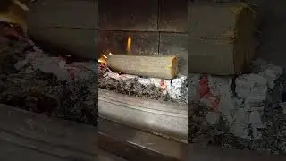 100 year old carbon released into nature