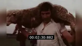 Борьба Корэш на празднике Сабантуй 1992 год