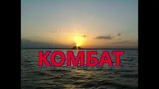 Павел Жданов - Комбат