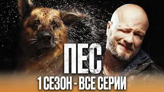 Сериал ПЕС – ПОЛНЫЙ 1 сезон – ВСЕ СЕРИИ ПОДРЯД (1 – 20) | Сериалы ICTV
