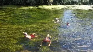 Wild Swimming the River Stour (do this at your own risk)