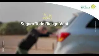 Seguro Todo Riesgo Vehículo