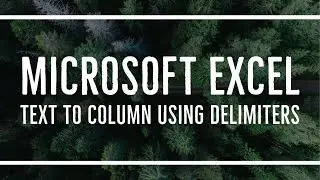 MS Excel - Text to Column using Delimiters