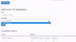 cPanel : comment assigner un utilisateur à une base de données MySQL