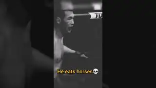 shavkat rakhmanov horse meat