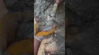 Define Kasasından Altın Heykeli Çıkarma Anı !!