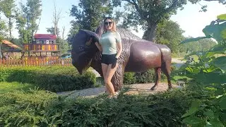 Бизон - ранчо в деревне Рожнов. Чехия🐂Bison is a ranch in the village of Rozhnov. Czech Republic