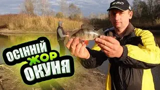 Все буде🇺🇦 Клювало за кожним закидом🐟 Нарешті порибалили🐟 Як зробить щоб завжди клювало