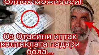 Оз Отасини иттек калтаклаган окпадар Огил