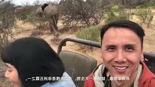 South Africa is tracking the Big Five in Africa Do you know which animals they are All rely on stre