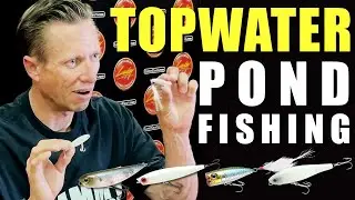 【Early Summer】Pond Fishing Topwater Technique