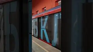 Ламповый Зуммер на станции Давыдково БКЛ 
