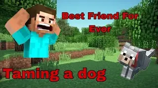 Taming a dog in my minecraft survival world