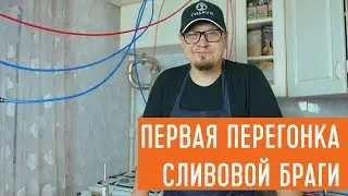 Первая перегонка сливовой браги на самогонном аппарате 