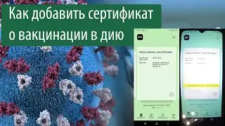 Как добавить сертификат о вакцинации в дию 2022: Модерна и Короновак