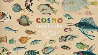 Cosmo Sheldrake - Birthday Suit