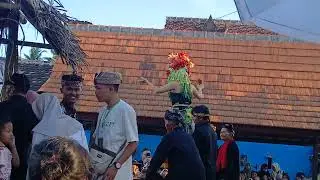 Tundik Seblang !! Acara Ritual Adat Seblang Olesari 2025