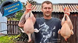Тушёнка из курицы в автоклаве! Розыгрыш автоклава среди подписчиков!