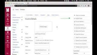 Activating Zoom in Canvas Settings