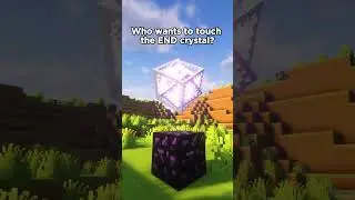 End Crystals be like 