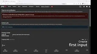 Graylog input test
