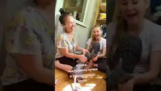 мысли кошки ,,,,
