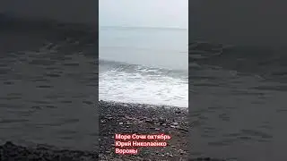 НЮ Юрий Николаенко Вороны Море в октябре бывает и таким Сочи Хоста #море #сочи  #shorts