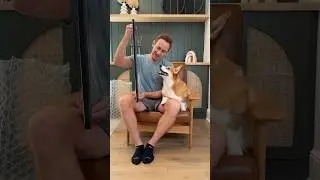 We received a gift!