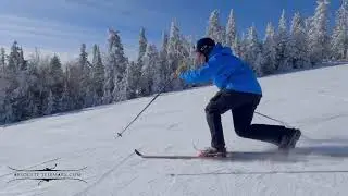 Telemark leather boots 2023