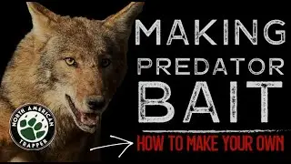 How to make a Predator Bait for Coyote, Fox & Bobcat