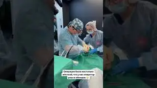 У ДИМЫ ГОРДЕЯ ОПЕРАТОР УПАЛ В ОБМОРОК 