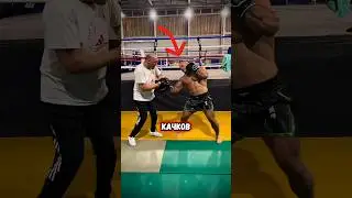 Качёк вырубил бойца😳