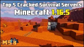 Top 5 Cracked Minecraft 1.16.5 Survival Servers (2024)