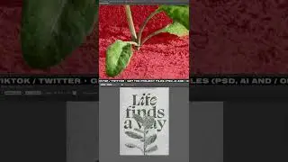 Designing a Plant poster in Adobe Photoshop!