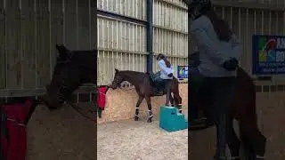 Girl hard training 😉 girl amazing skills for horse back riding 😜 horse race status horse lovers