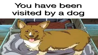 corgi.exe