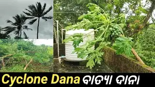 ବାତ୍ୟା ଦାନାର ତାଣ୍ଡବଲୀଳା , କେନ୍ଦ୍ରାପଡା 🌀😭🌀 || Post Landing of Cyclone Dana 2024 || Cyclone in Odisha