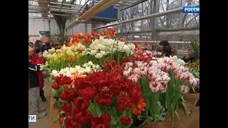 8 марта в Москве: куда пойти и что посмотреть - Россия Сегодня