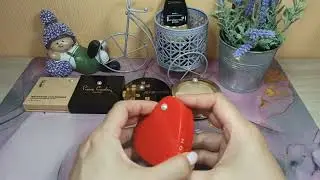 PROJECT PAN 2023 / ПЕРВЫЙ ОТЧЁТ / ВЕСНА