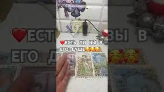 9 июля 2024 г.