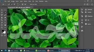 Name in photoshop leaves