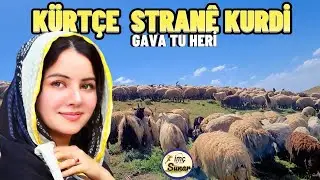 Kürtçe Strane Kurdi - Gava Tu Heri -Dertli Duygulu Yanık Stranlar-Köy Manzaralı