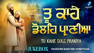 Tu Kahe Dole Praniya (Jukebox) New Shabad Gurbani Kirtan 2023 Hazoori Ragi Amritsar Nonstop Gurbani