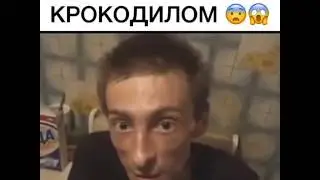 Обкололся КРОКОДИЛОМ