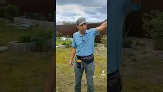 Намордник , поводок - ОБЯЗАТЕЛЬНО!