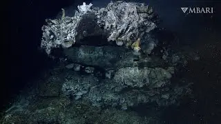 Revealing the stunning landscapes of deep-sea hydrothermal vents